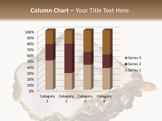 Cultivation Of Pearls Object Shellfish PowerPoint Template