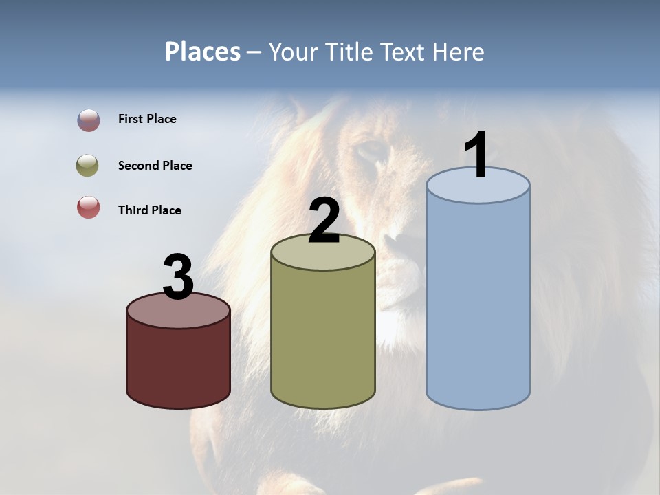 Carnivore Big Furry Wild PowerPoint Template