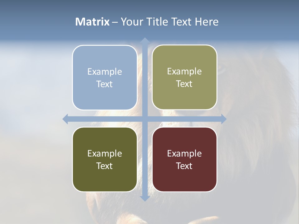 Carnivore Big Furry Wild PowerPoint Template