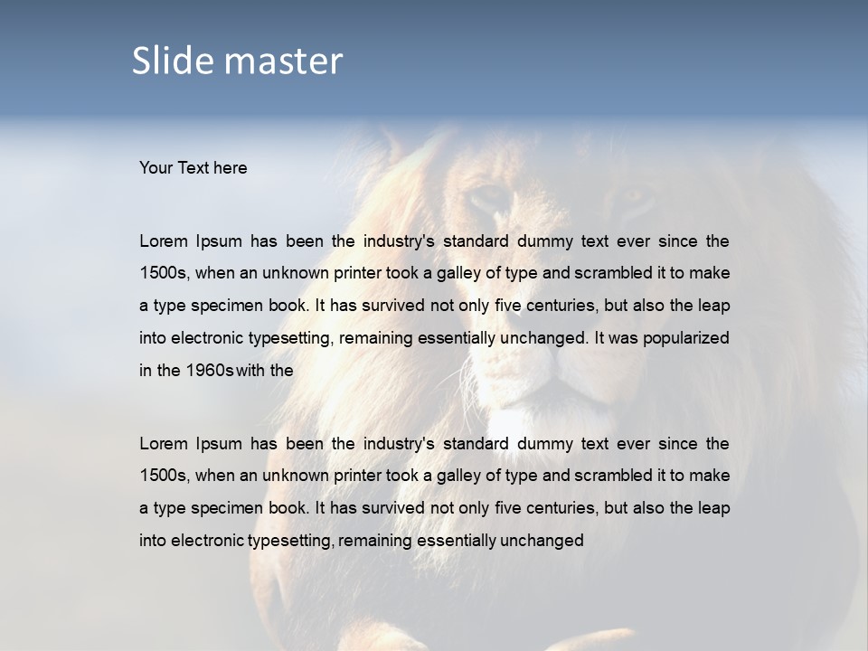 Carnivore Big Furry Wild PowerPoint Template