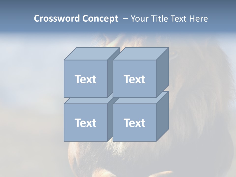 Carnivore Big Furry Wild PowerPoint Template