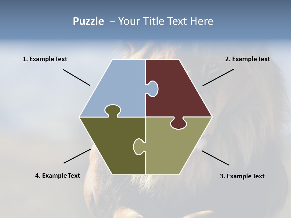 Carnivore Big Furry Wild PowerPoint Template