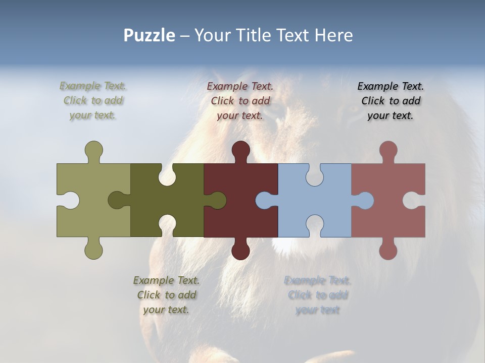 Carnivore Big Furry Wild PowerPoint Template