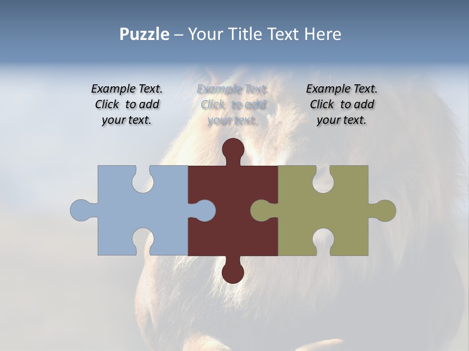 Carnivore Big Furry Wild PowerPoint Template
