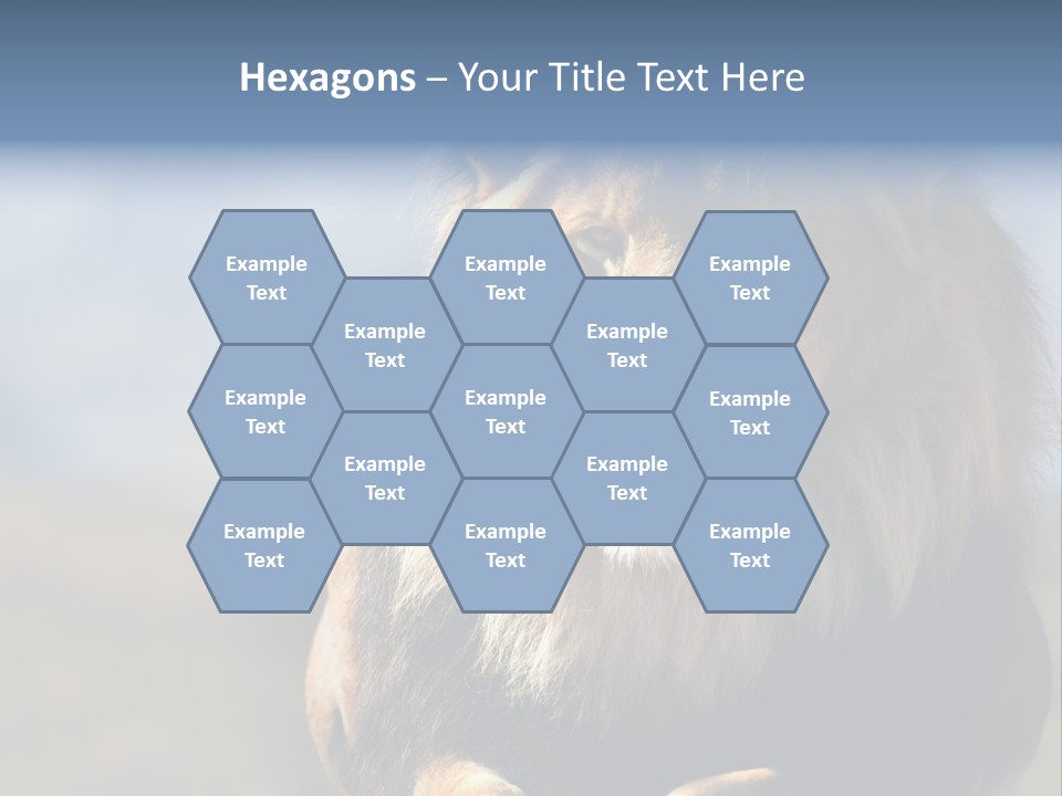 Carnivore Big Furry Wild PowerPoint Template