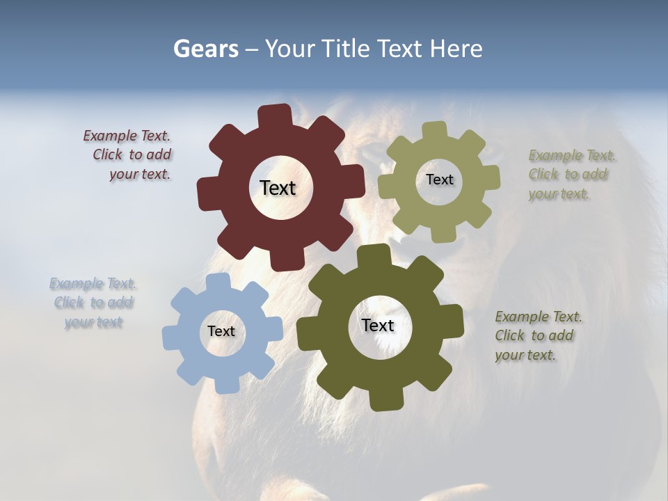 Carnivore Big Furry Wild PowerPoint Template