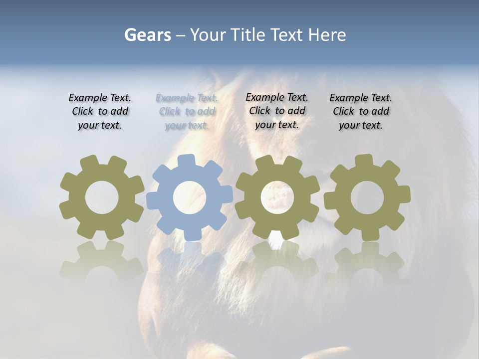 Carnivore Big Furry Wild PowerPoint Template