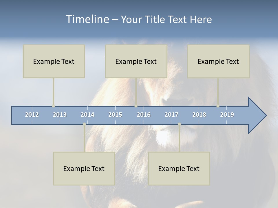 Carnivore Big Furry Wild PowerPoint Template