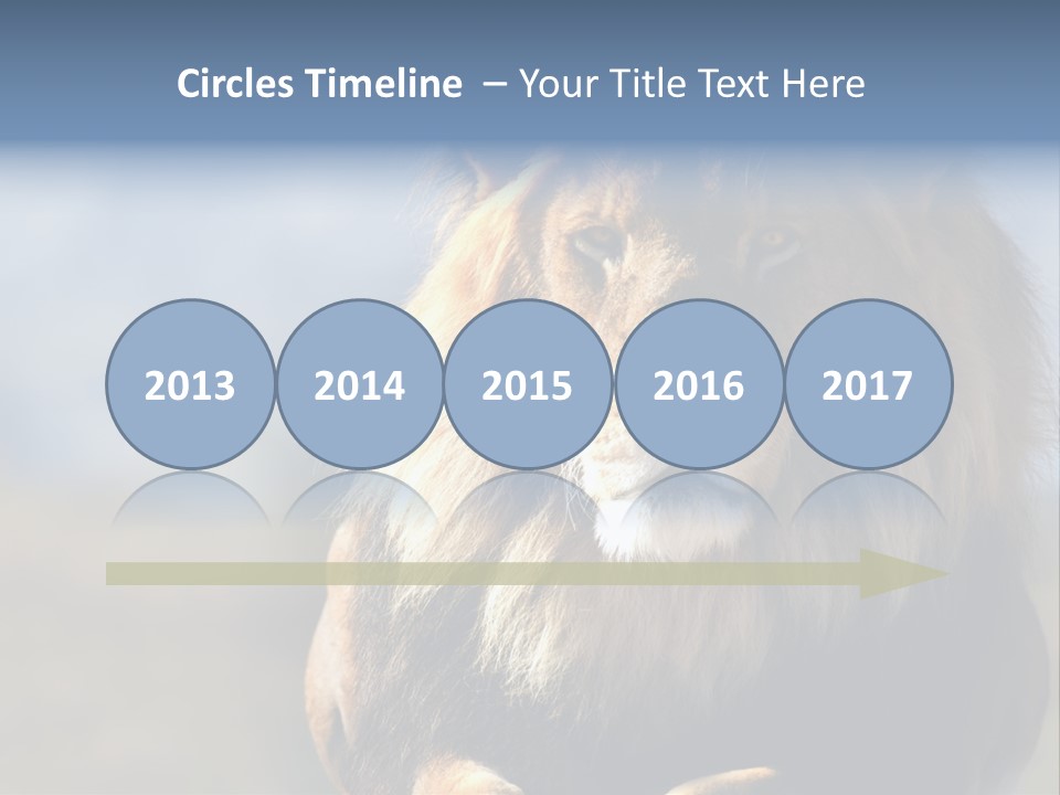 Carnivore Big Furry Wild PowerPoint Template