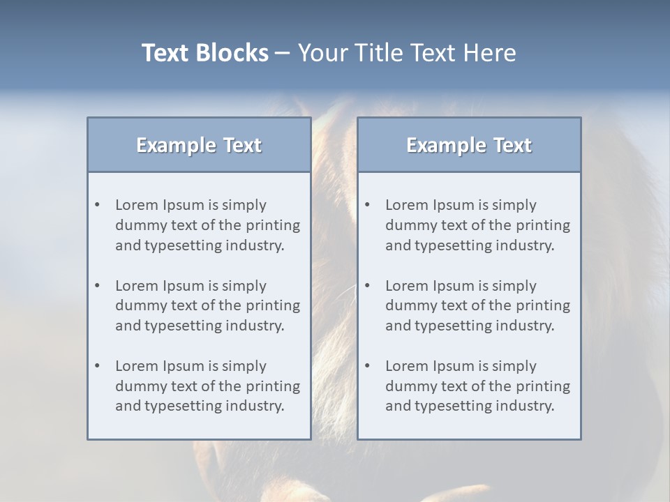 Carnivore Big Furry Wild PowerPoint Template
