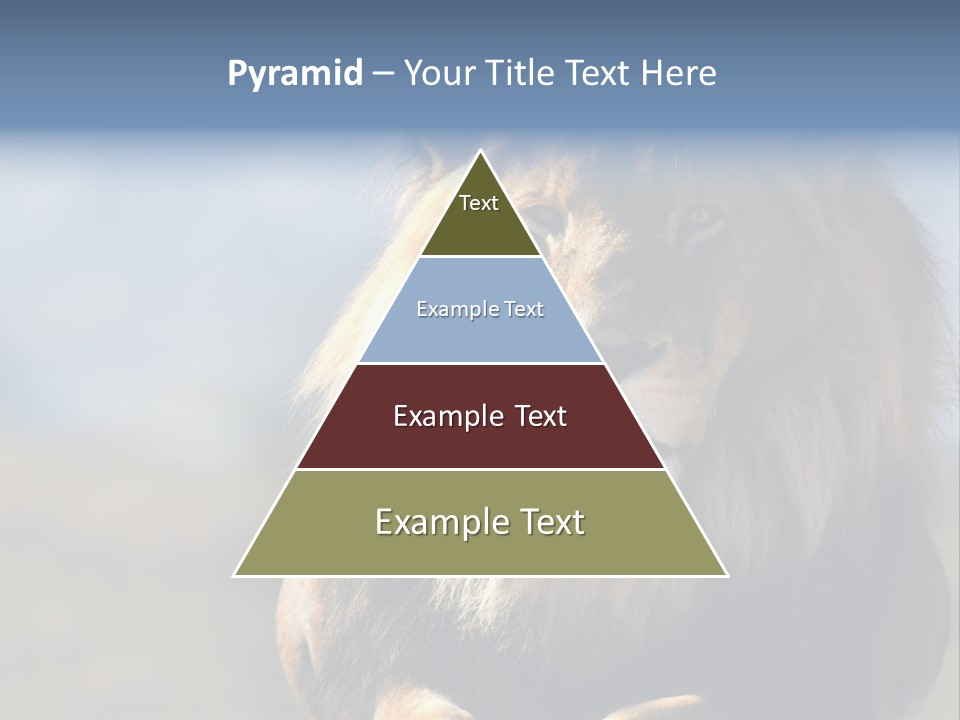 Carnivore Big Furry Wild PowerPoint Template