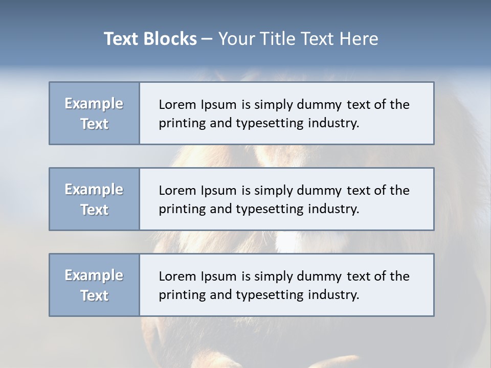 Carnivore Big Furry Wild PowerPoint Template