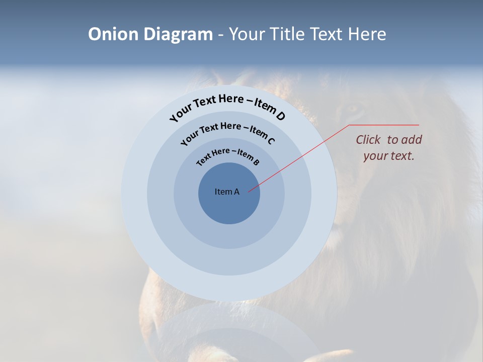 Carnivore Big Furry Wild PowerPoint Template