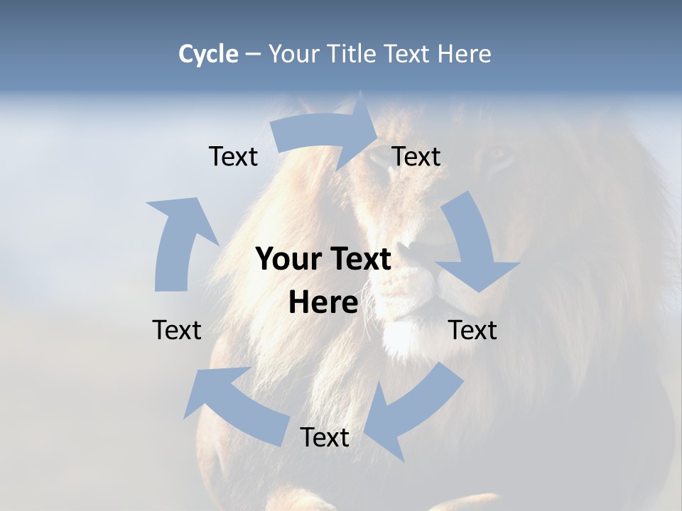 Carnivore Big Furry Wild PowerPoint Template