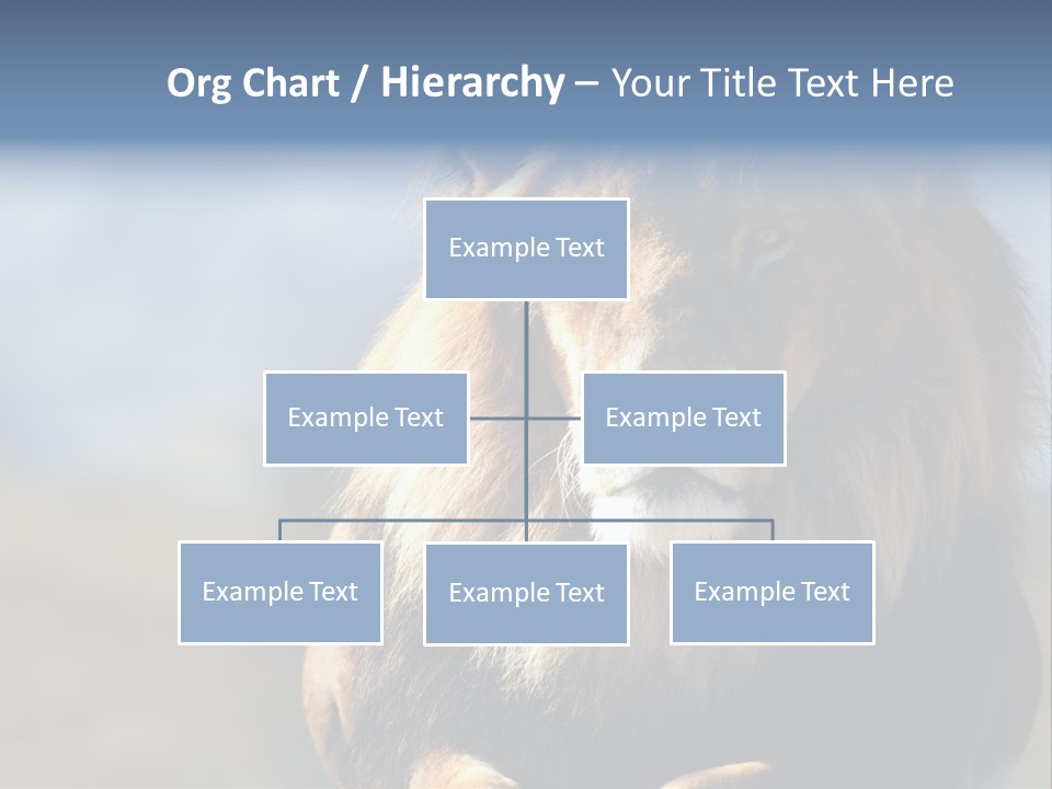 Carnivore Big Furry Wild PowerPoint Template