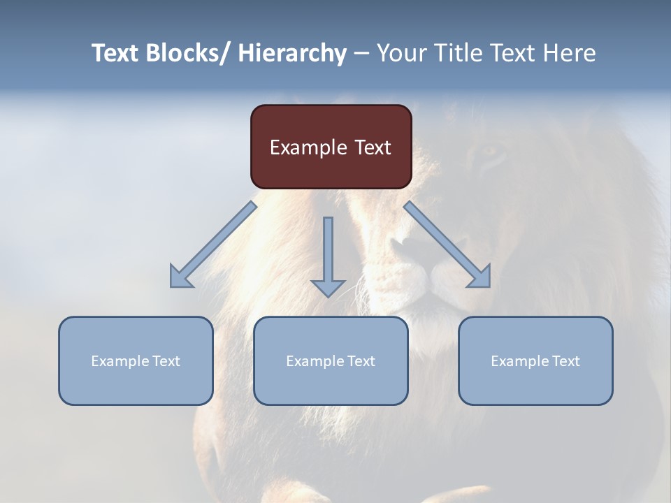 Carnivore Big Furry Wild PowerPoint Template