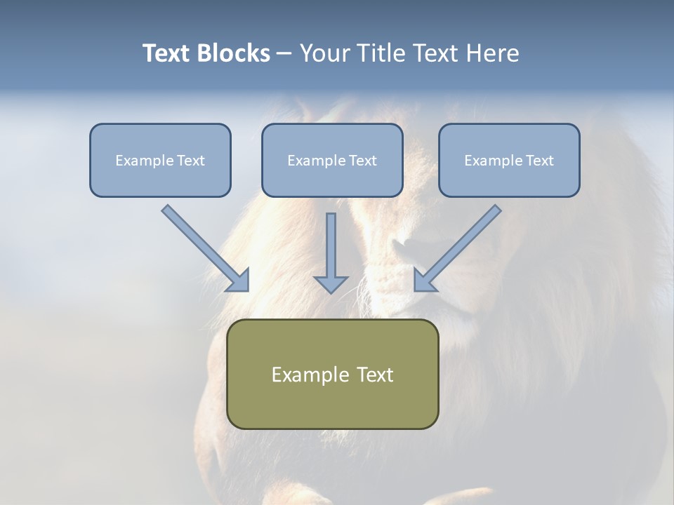 Carnivore Big Furry Wild PowerPoint Template