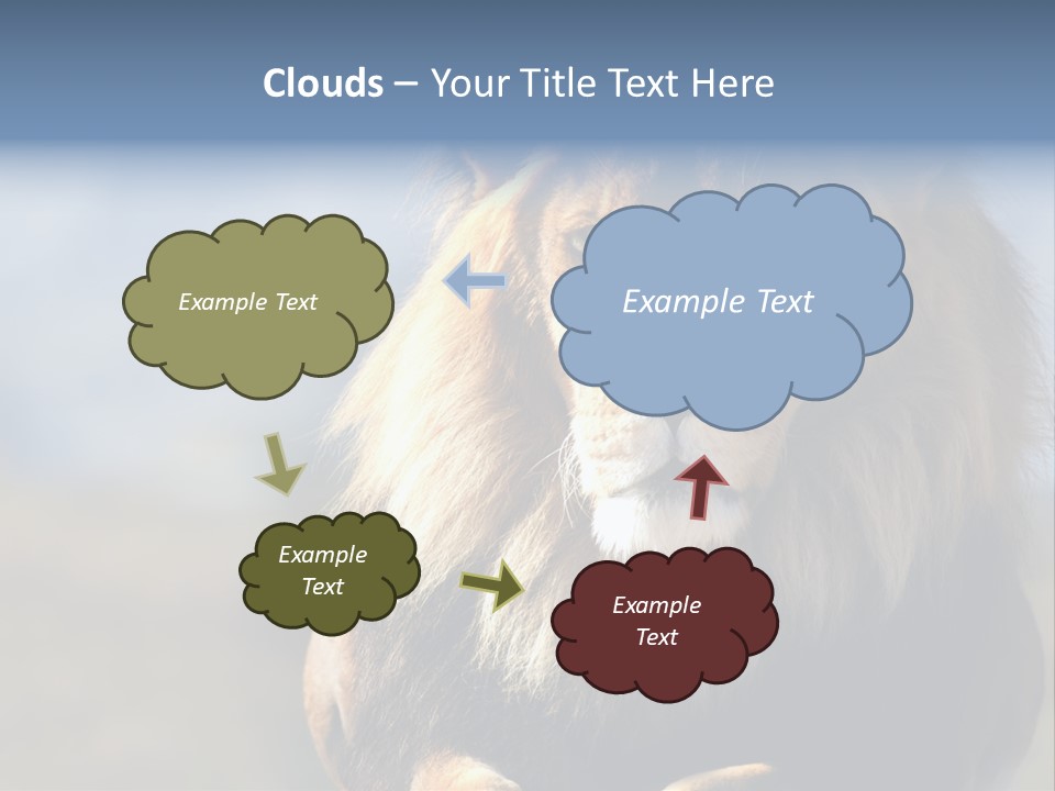 Carnivore Big Furry Wild PowerPoint Template