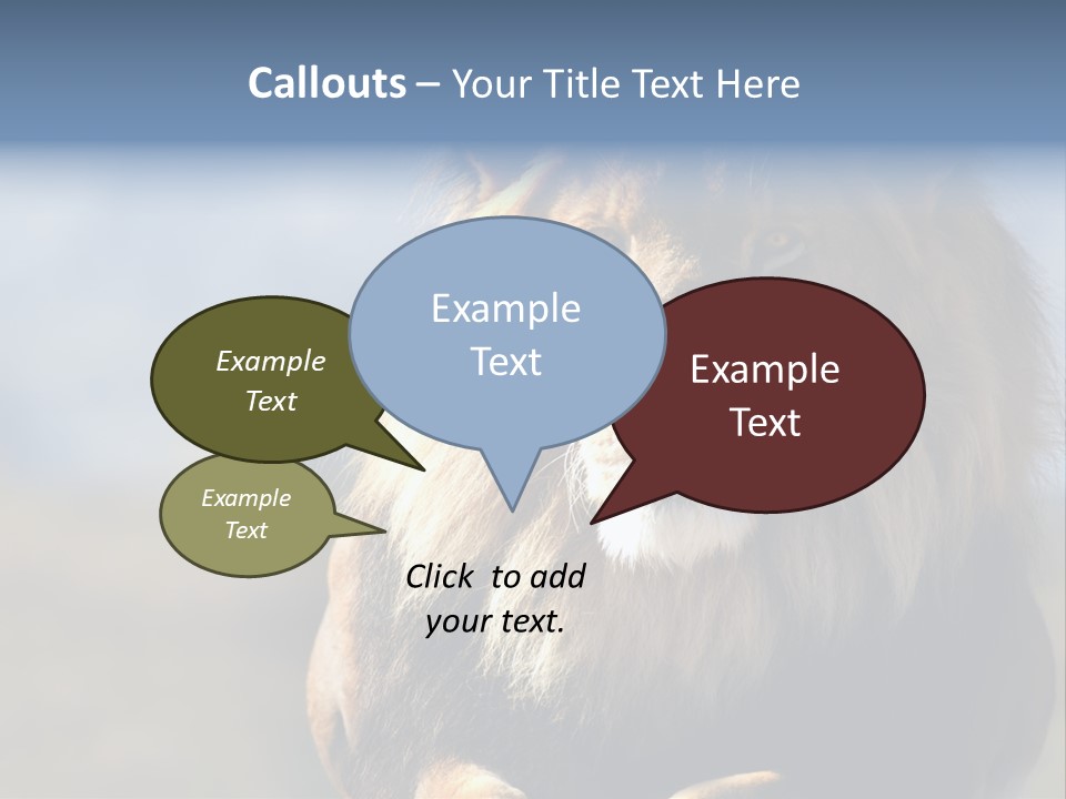 Carnivore Big Furry Wild PowerPoint Template