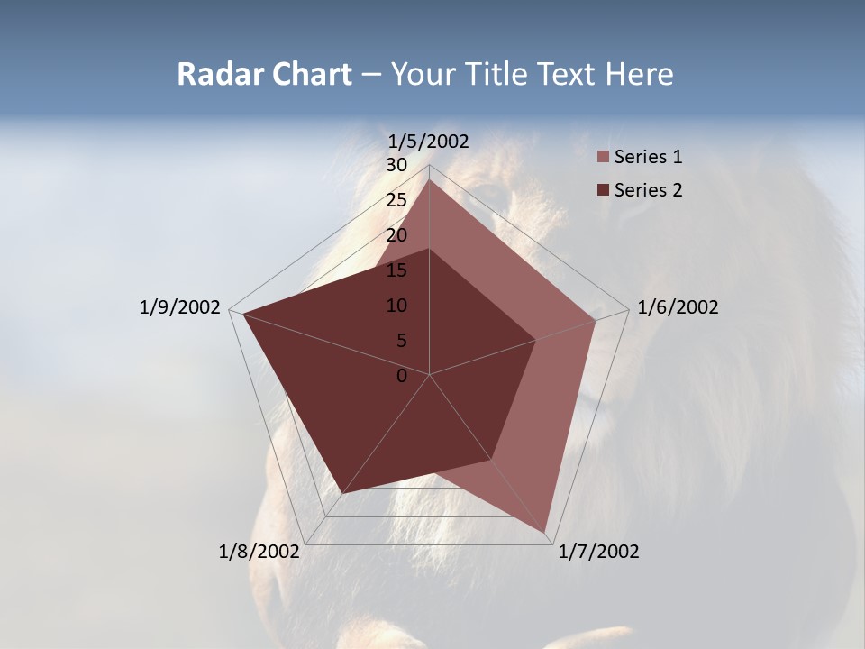 Carnivore Big Furry Wild PowerPoint Template