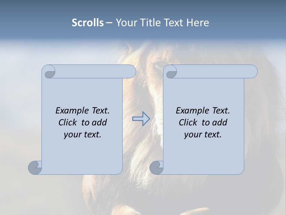 Carnivore Big Furry Wild PowerPoint Template