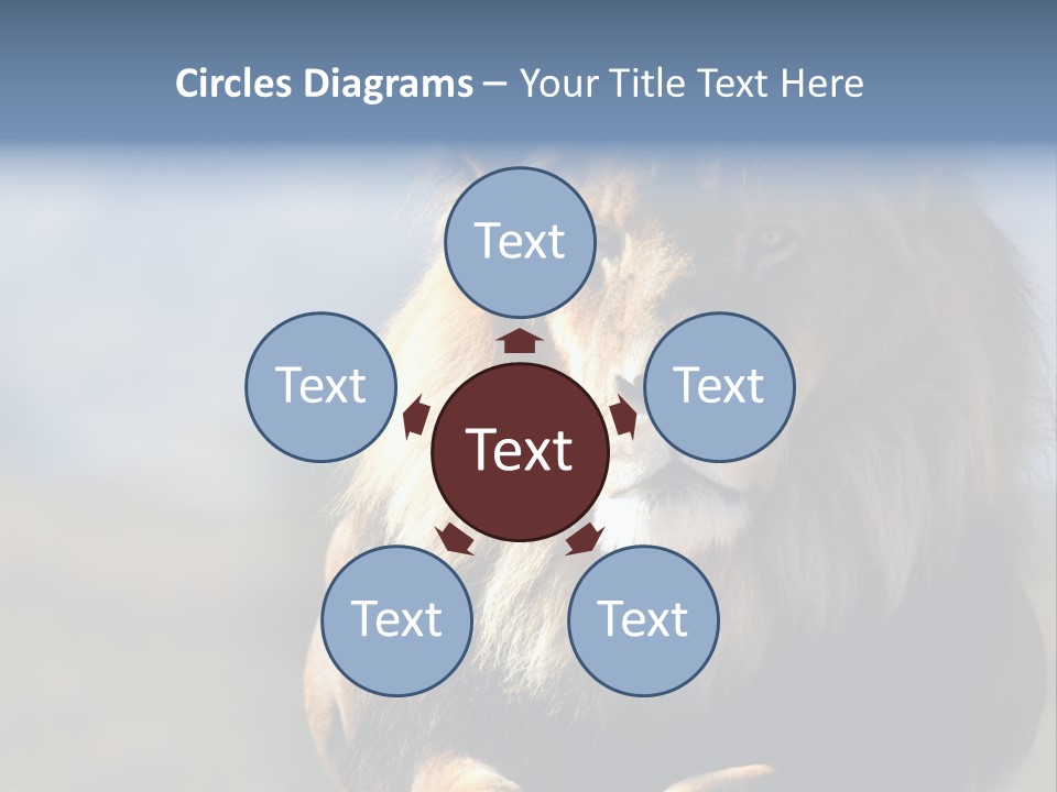 Carnivore Big Furry Wild PowerPoint Template