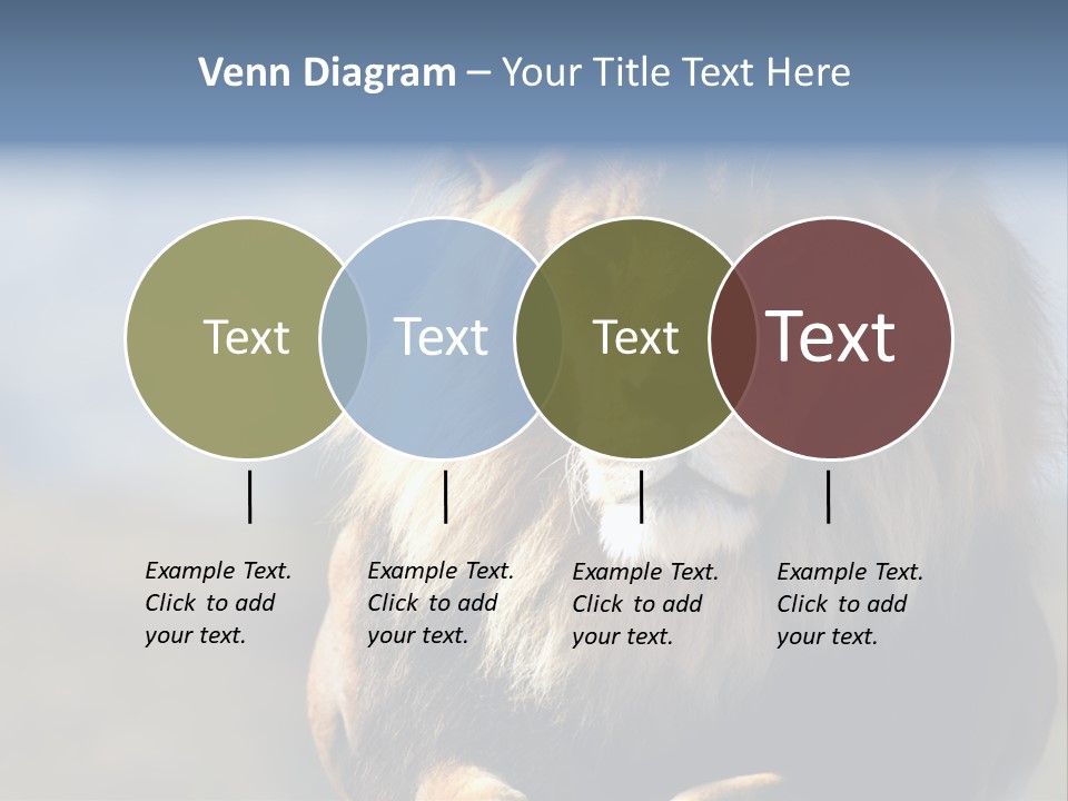 Carnivore Big Furry Wild PowerPoint Template