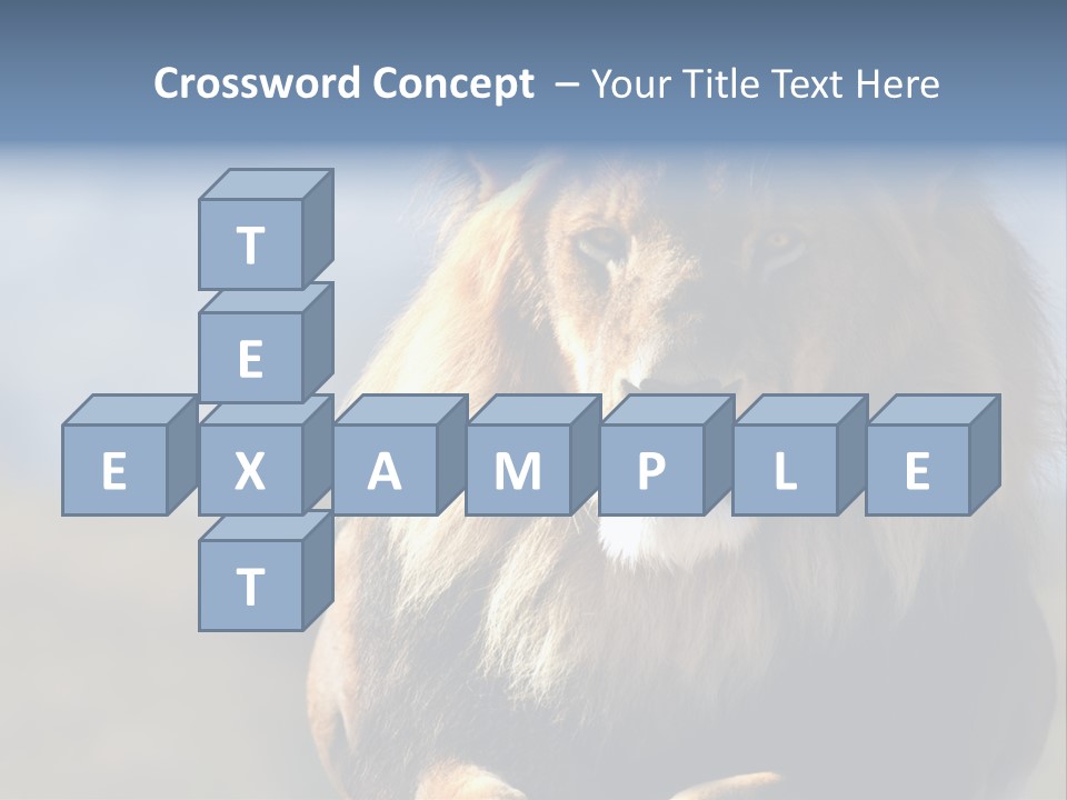 Carnivore Big Furry Wild PowerPoint Template