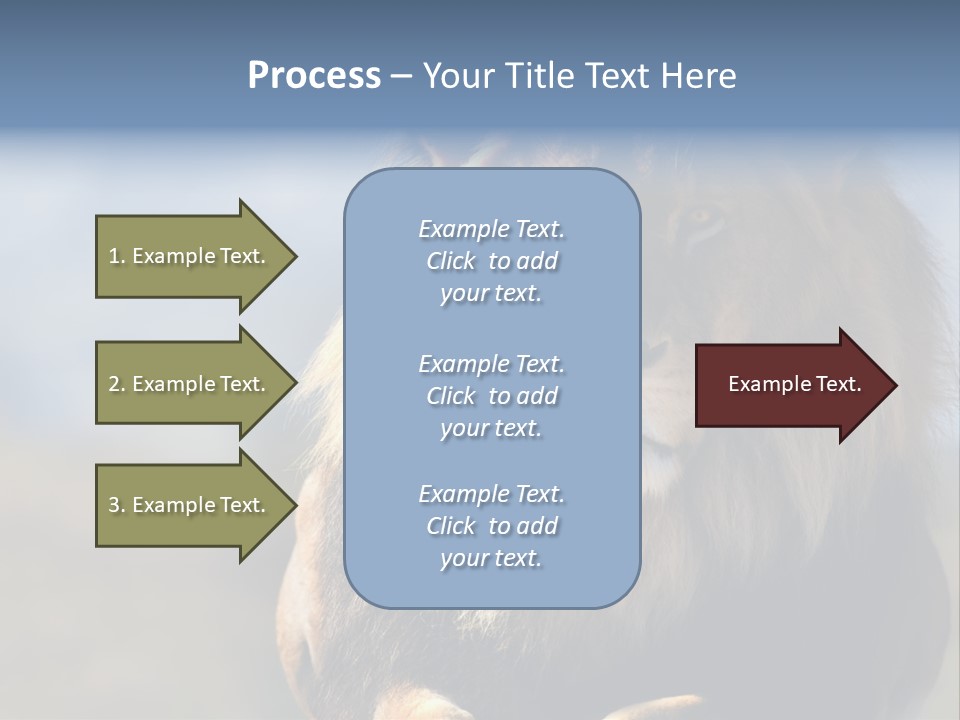 Carnivore Big Furry Wild PowerPoint Template