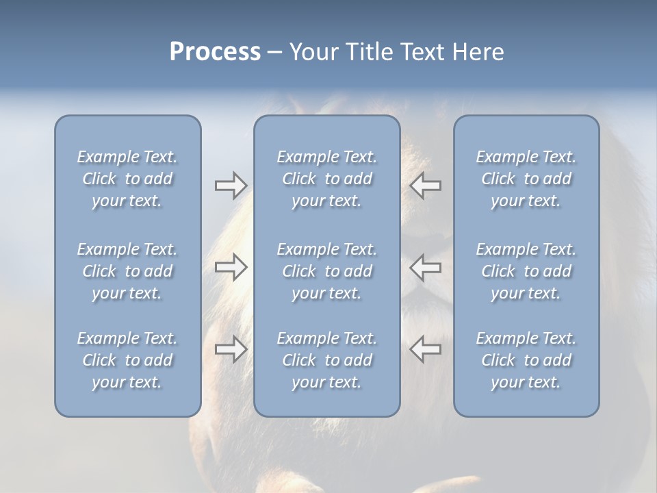 Carnivore Big Furry Wild PowerPoint Template