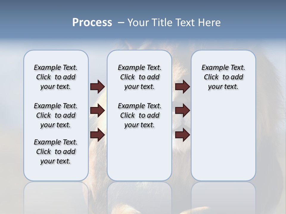 Carnivore Big Furry Wild PowerPoint Template
