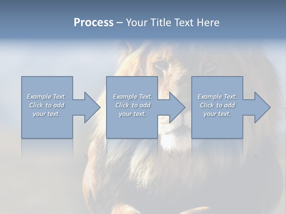 Carnivore Big Furry Wild PowerPoint Template