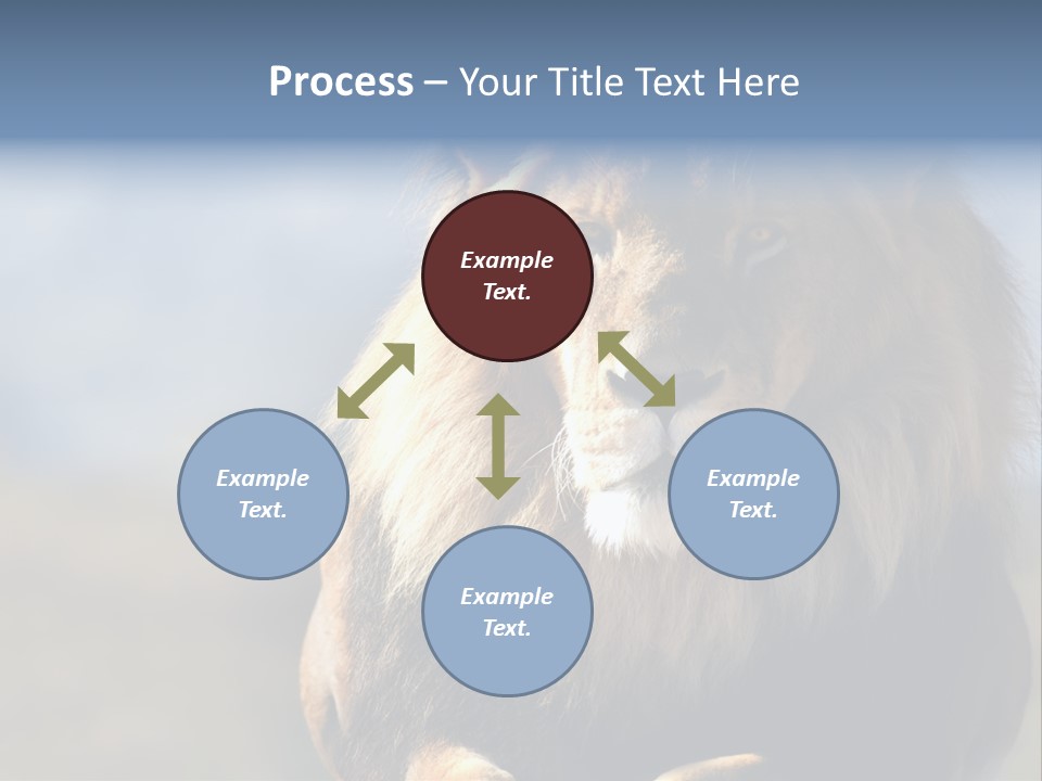 Carnivore Big Furry Wild PowerPoint Template