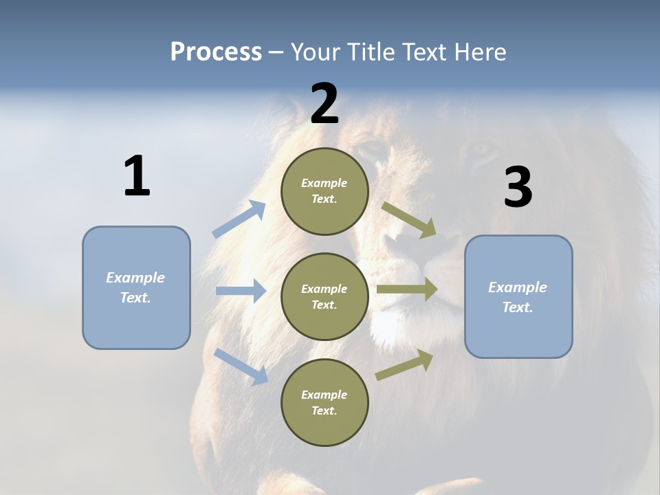 Carnivore Big Furry Wild PowerPoint Template