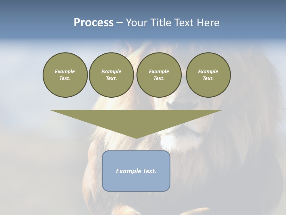 Carnivore Big Furry Wild PowerPoint Template