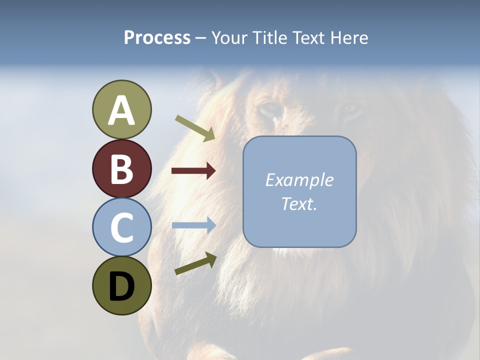 Carnivore Big Furry Wild PowerPoint Template