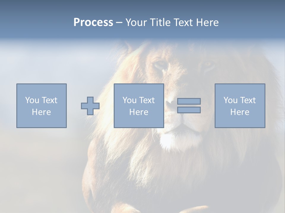 Carnivore Big Furry Wild PowerPoint Template