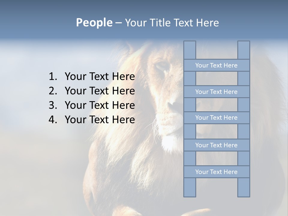 Carnivore Big Furry Wild PowerPoint Template