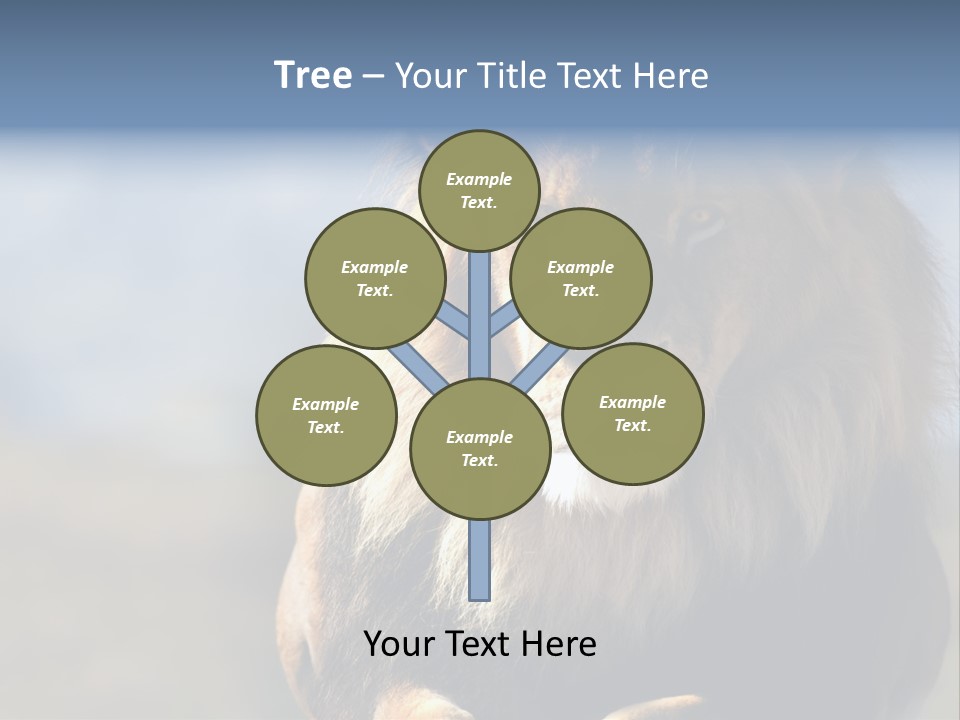 Carnivore Big Furry Wild PowerPoint Template