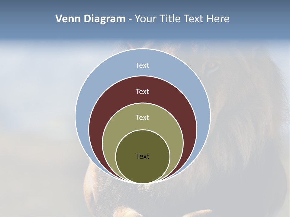 Carnivore Big Furry Wild PowerPoint Template