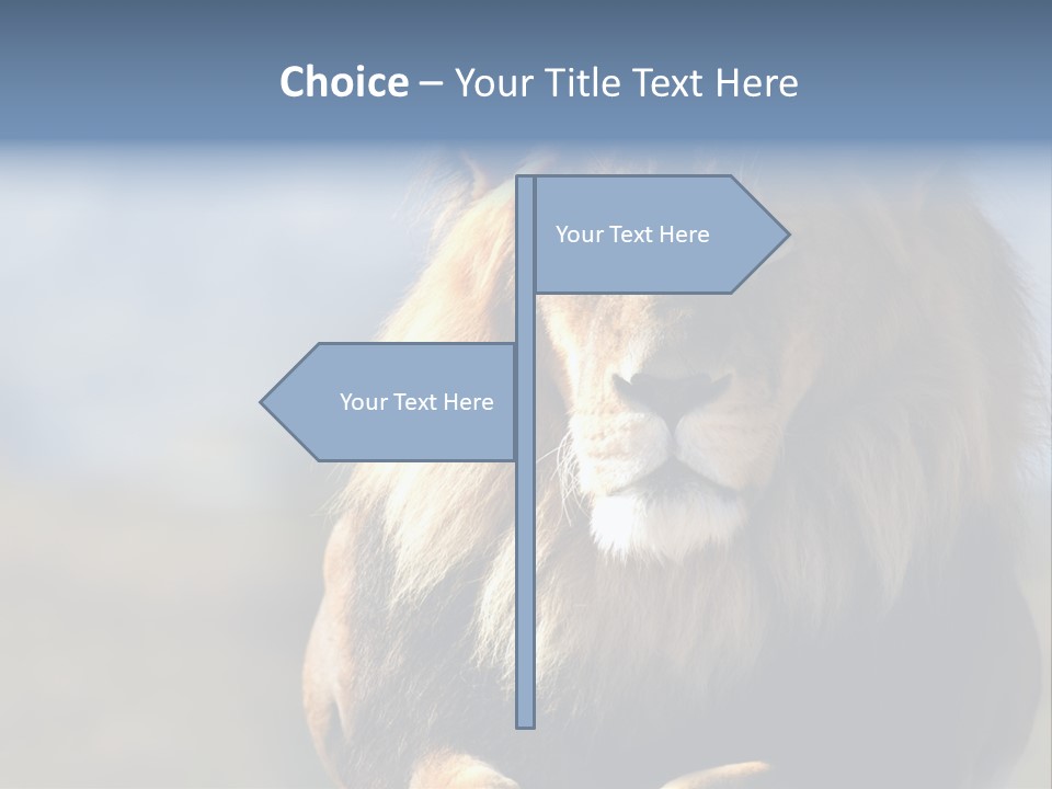 Carnivore Big Furry Wild PowerPoint Template