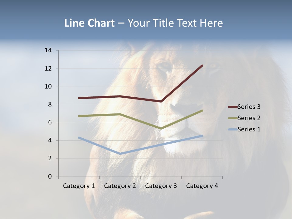 Carnivore Big Furry Wild PowerPoint Template