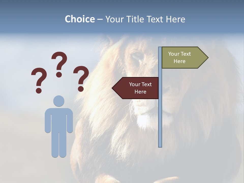 Carnivore Big Furry Wild PowerPoint Template
