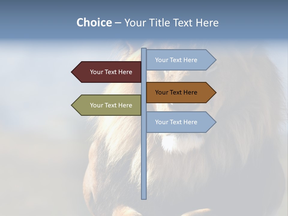 Carnivore Big Furry Wild PowerPoint Template