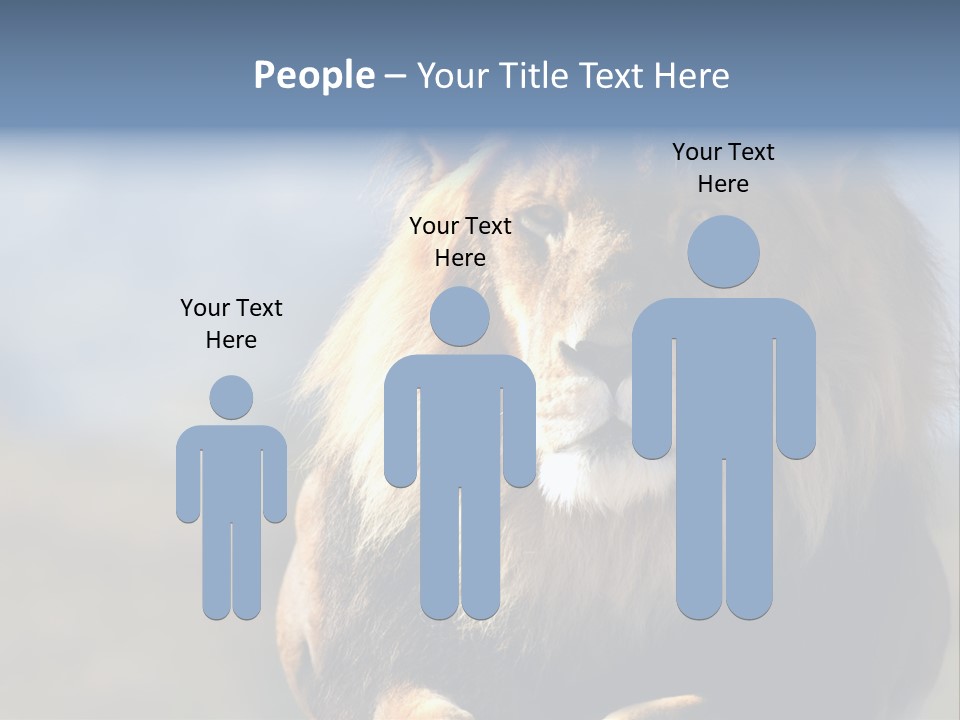 Carnivore Big Furry Wild PowerPoint Template