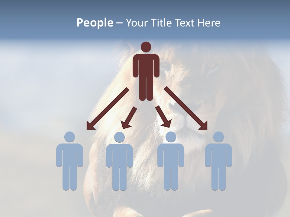 Carnivore Big Furry Wild PowerPoint Template