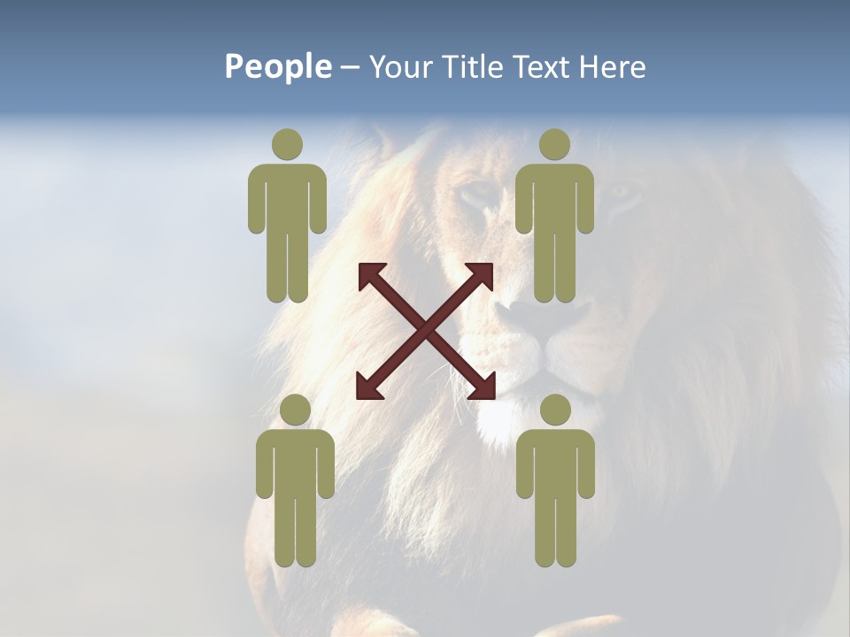 Carnivore Big Furry Wild PowerPoint Template