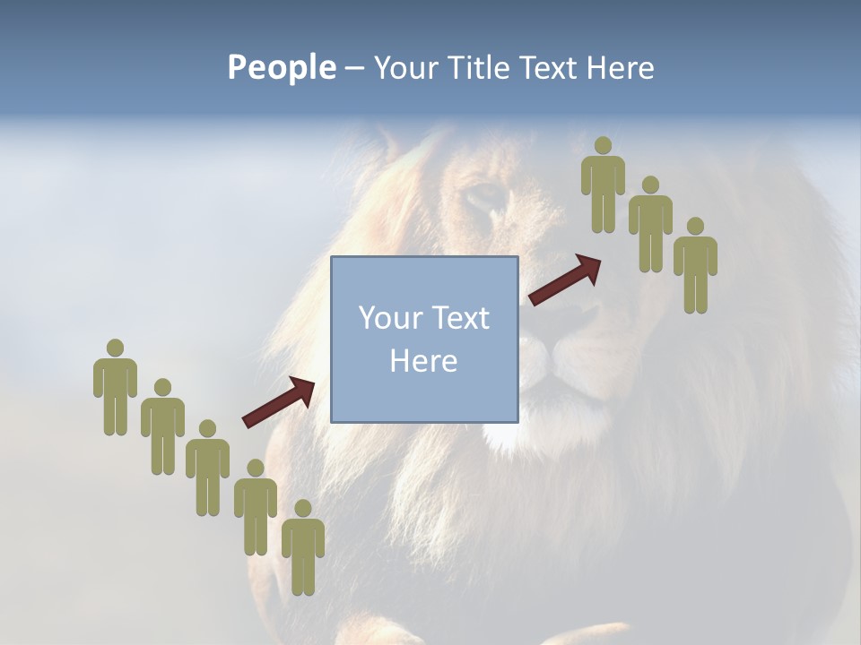 Carnivore Big Furry Wild PowerPoint Template
