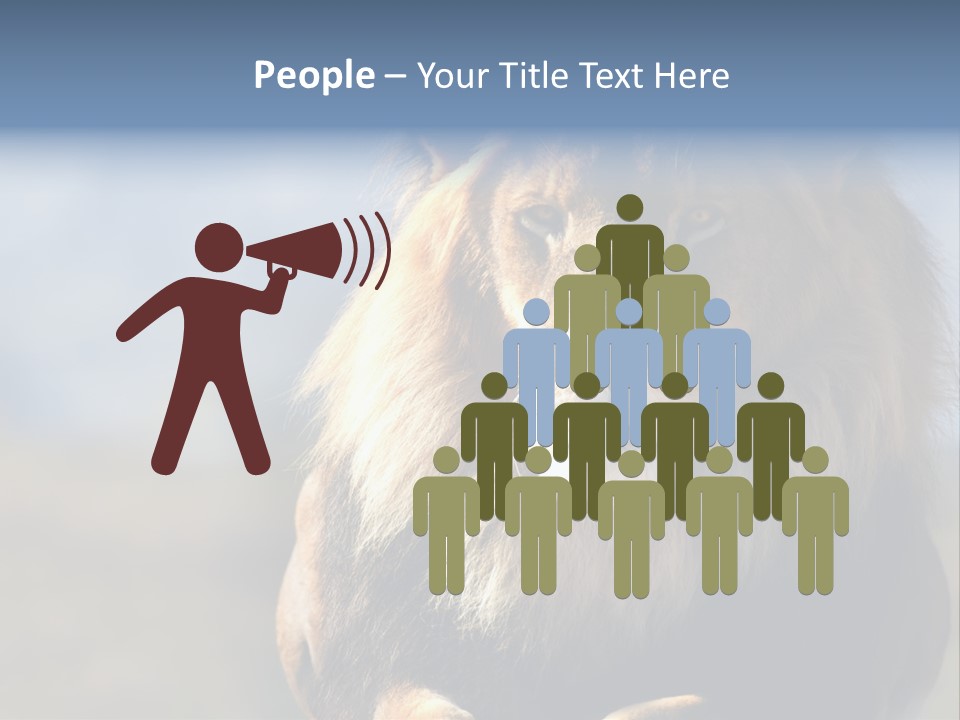 Carnivore Big Furry Wild PowerPoint Template