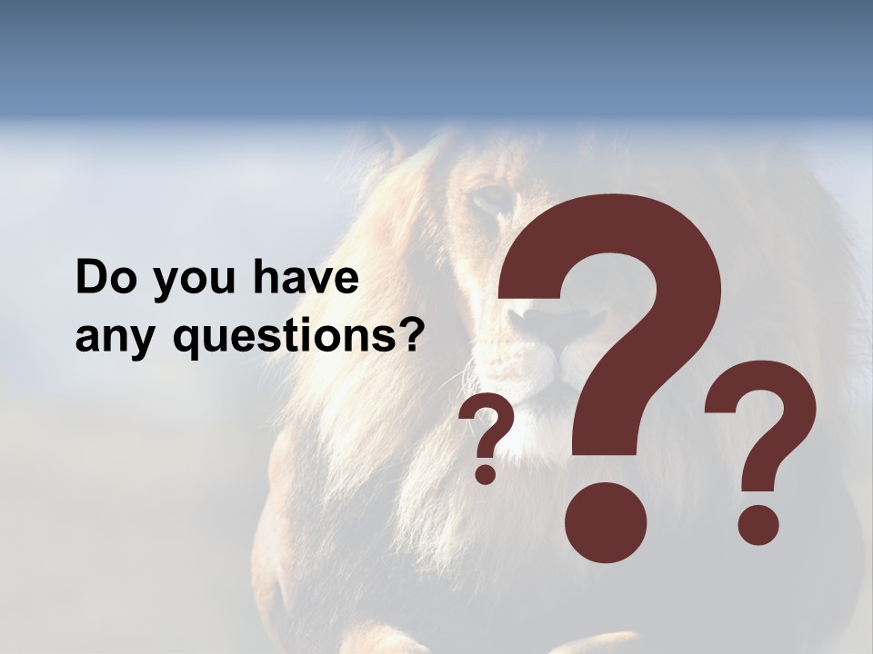 Carnivore Big Furry Wild PowerPoint Template